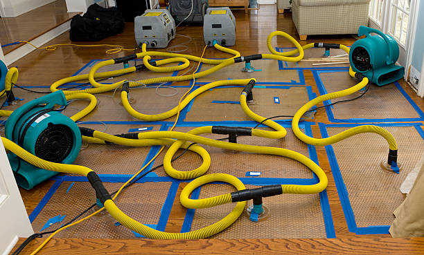 Professional Water Extraction technician working in Reno, TX